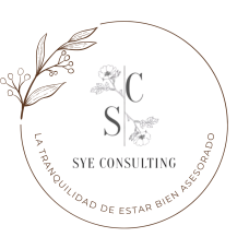 Logo SyE Consulting